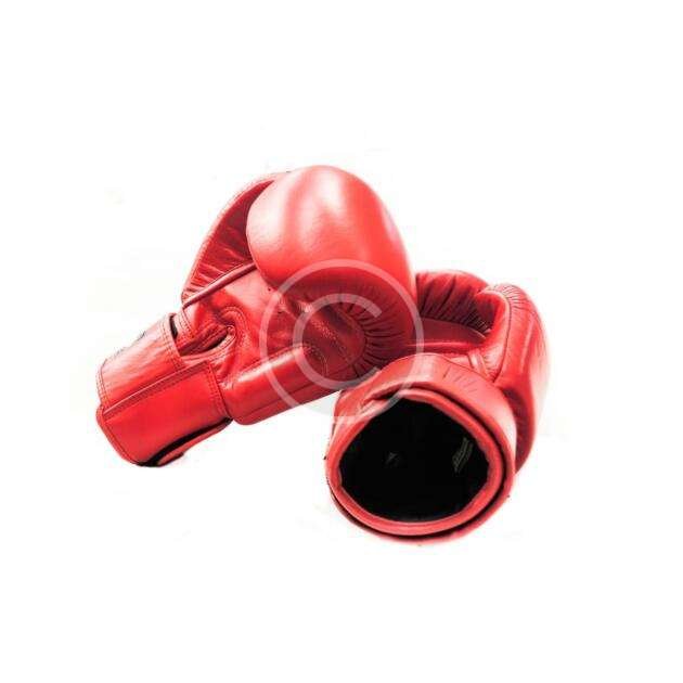 Kickboxing gloves